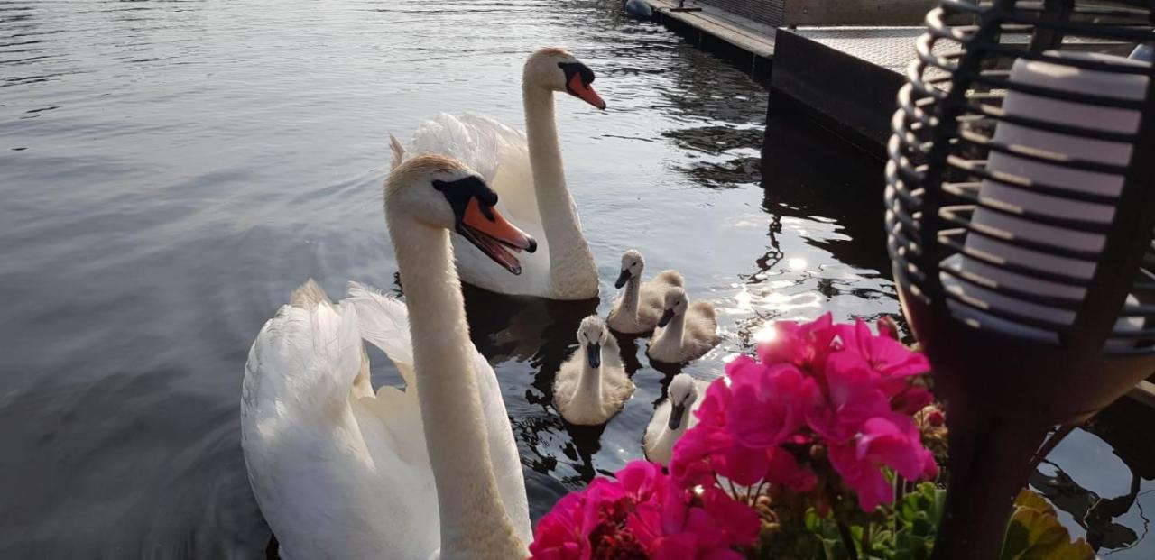 Out Of Amsterdam, River Apartment Close To City Broek in Waterland Dış mekan fotoğraf