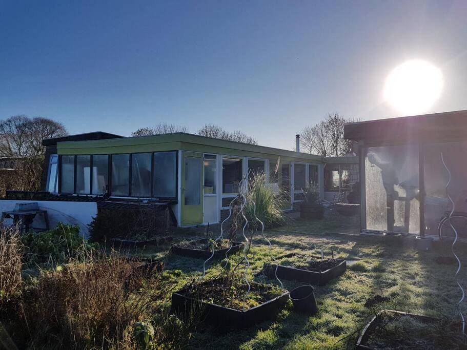 Out Of Amsterdam, River Apartment Close To City Broek in Waterland Dış mekan fotoğraf