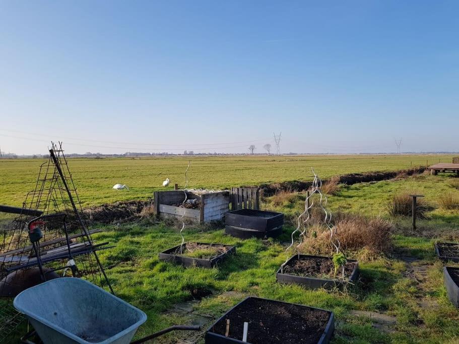 Out Of Amsterdam, River Apartment Close To City Broek in Waterland Dış mekan fotoğraf