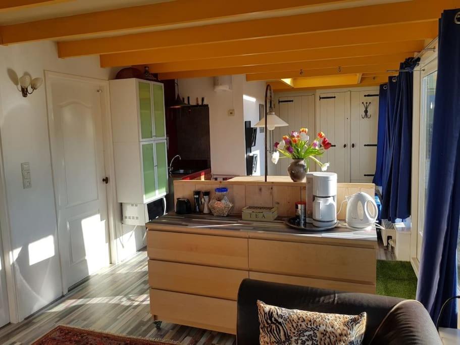 Out Of Amsterdam, River Apartment Close To City Broek in Waterland Dış mekan fotoğraf